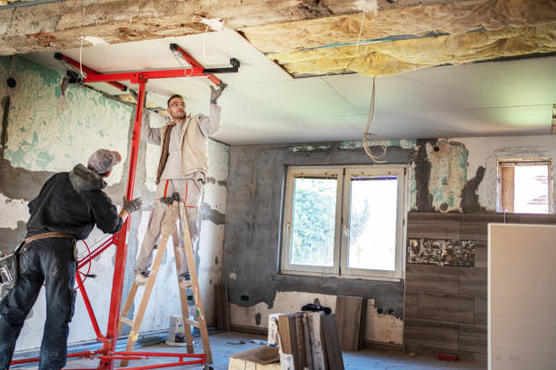 Best Types of Insulation in Skyline Acres, OH